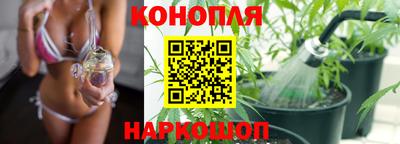 шишки Свободный