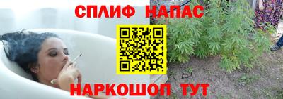 шишки Свободный