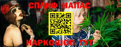 шишки Свободный