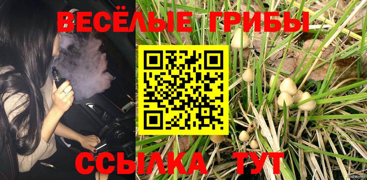 Галлюциногенные грибы Psilocybine cubensis  Галлюциногенные грибы Psilocybe  Ачинск  Вход с VPN 
